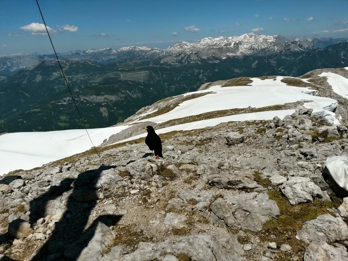 lh6.googleusercontent.com_-l7ukp8he8rs_u5sb1qmgdti_aaaaaaaazgq_jz75m2g7ni4_w1200-h900-no_20140608_130555_richtone_2528hdr_2529.jpg lh6.googleusercontent.com_-l7ukp8he8rs_u5sb1qmgdti_aaaaaaaazgq_jz75m2g7ni4_w1200-h900-no_20140608_130555_richtone_2528hdr_2529.jpg