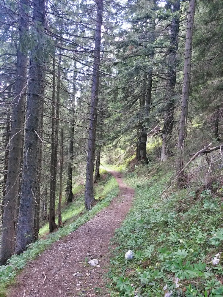 lh4.googleusercontent.com_-t3faqm9f72s_u5ncjah6ozi_aaaaaaaaza8_pfrmlwpu_3i_w750-h1000-no_20140607_150107_richtone_2528hdr_2529.jpg lh4.googleusercontent.com_-t3faqm9f72s_u5ncjah6ozi_aaaaaaaaza8_pfrmlwpu_3i_w750-h1000-no_20140607_150107_richtone_2528hdr_2529.jpg