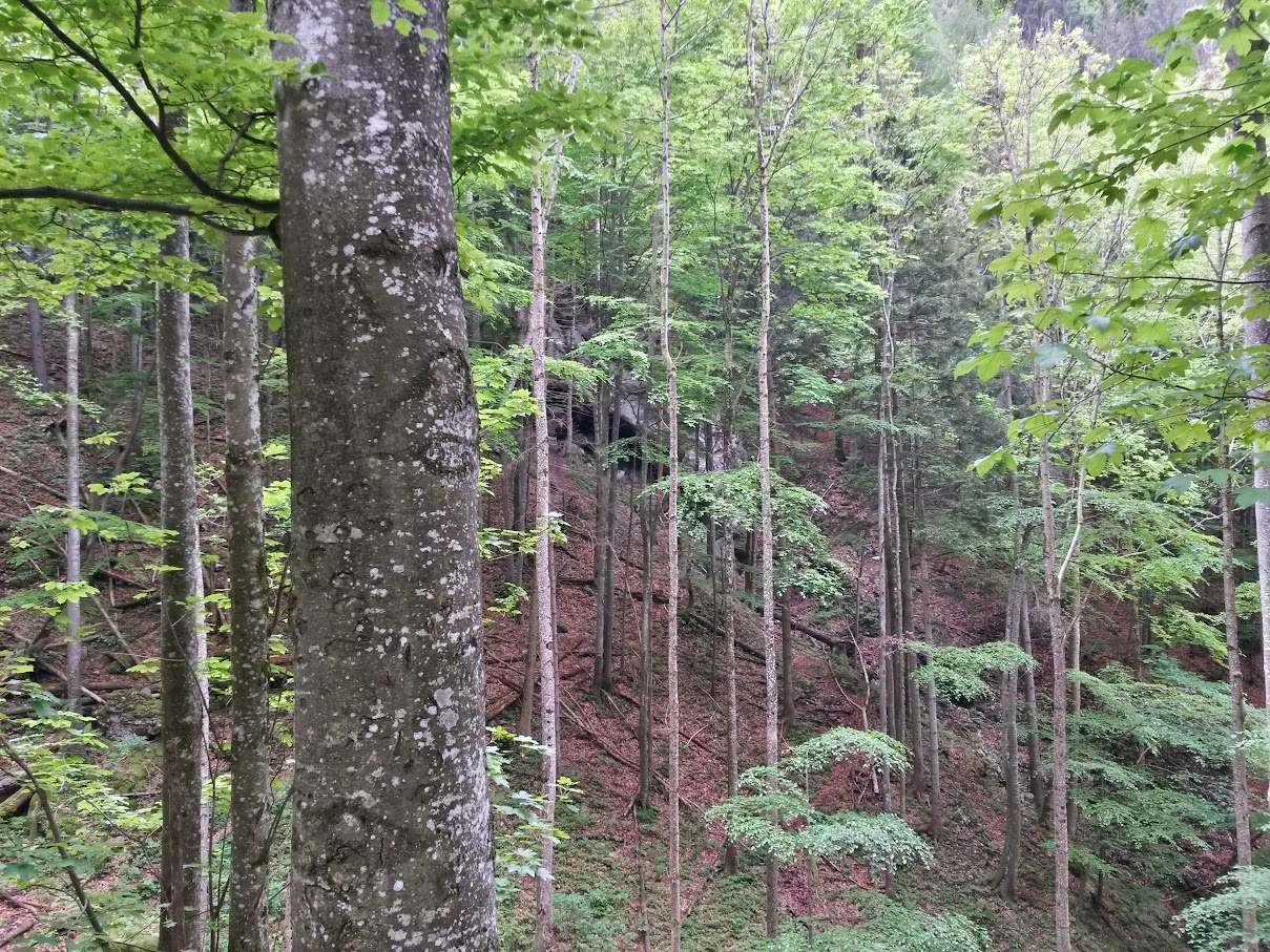 lh4.googleusercontent.com_-pzyswhpzaqe_vvc_h_-ugui_aaaaaaaajge_2adjrczous8_w1209-h907-no_20150516_101743_richtone_2528hdr_2529.jpg lh4.googleusercontent.com_-pzyswhpzaqe_vvc_h_-ugui_aaaaaaaajge_2adjrczous8_w1209-h907-no_20150516_101743_richtone_2528hdr_2529.jpg