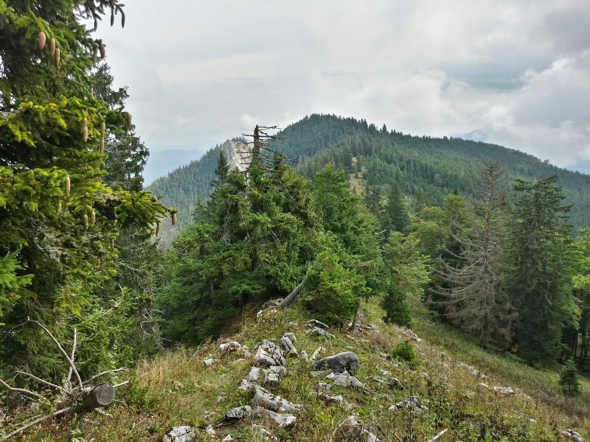 lh4.googleusercontent.com_-dtopb0pekou_vf145d_nezi_aaaaaaaan8a_bflgebpy8u8_w1209-h907-no_20150919_120448_richtone_2528hdr_2529.jpg lh4.googleusercontent.com_-dtopb0pekou_vf145d_nezi_aaaaaaaan8a_bflgebpy8u8_w1209-h907-no_20150919_120448_richtone_2528hdr_2529.jpg