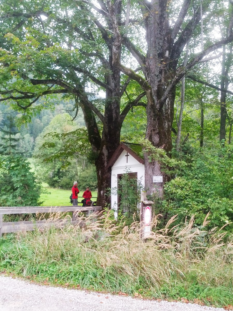 lh6.googleusercontent.com_-_qe1dhuw0z4_ujsvz8ikati_aaaaaaaaqpk_ztsbxywcuyw_w900-h1200-no_img_20130914_092349.jpg lh6.googleusercontent.com_-_qe1dhuw0z4_ujsvz8ikati_aaaaaaaaqpk_ztsbxywcuyw_w900-h1200-no_img_20130914_092349.jpg