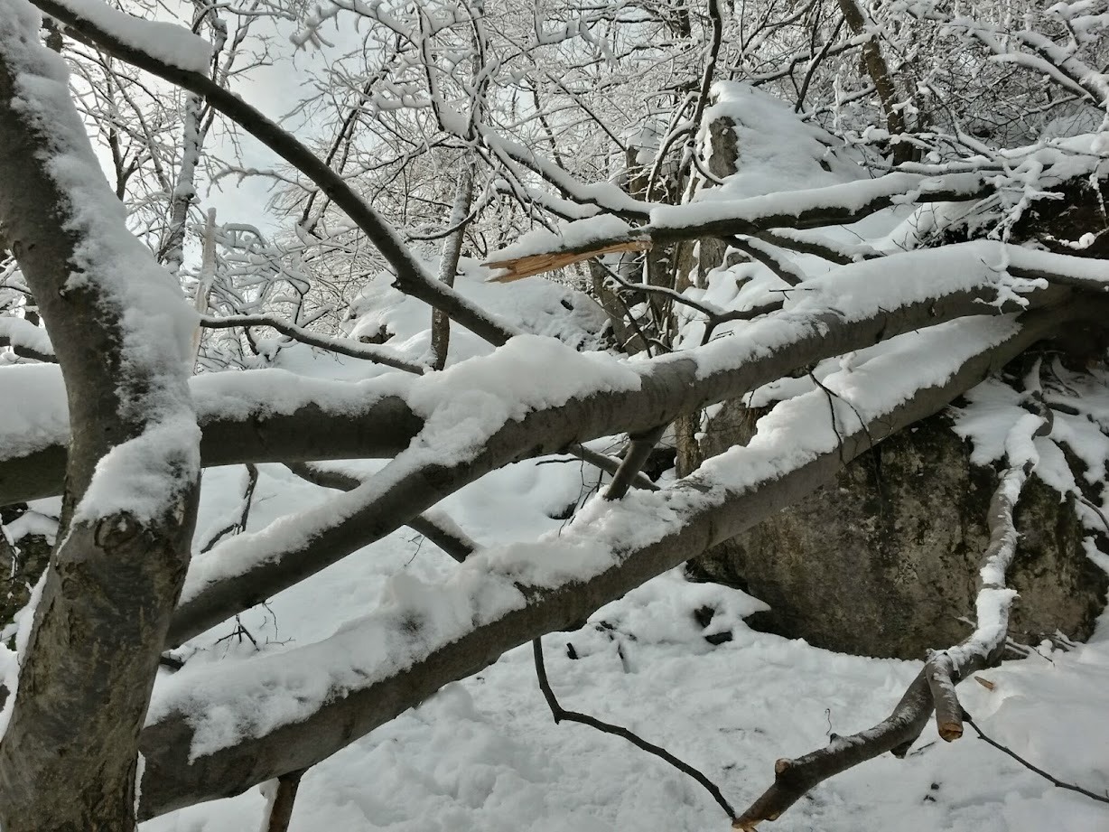 lh3.googleusercontent.com_-xguyb9qyzwg_vkqumwudp2i_aaaaaaaagmu_i9zvc2ucece_w1228-h921-no_20141231_115036_richtone_28hdr_29.jpg lh3.googleusercontent.com_-xguyb9qyzwg_vkqumwudp2i_aaaaaaaagmu_i9zvc2ucece_w1228-h921-no_20141231_115036_richtone_28hdr_29.jpg