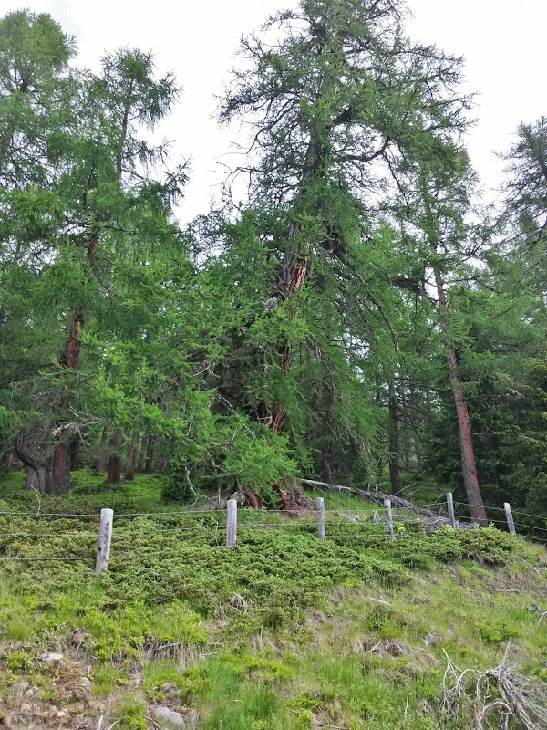 lh5.googleusercontent.com_-ug6trlk4sxc_vx06mpxoigi_aaaaaaaakne_g8a01q3lua0_w600-h800-no_20150613_090948_richtone_2528hdr_2529.jpg lh5.googleusercontent.com_-ug6trlk4sxc_vx06mpxoigi_aaaaaaaakne_g8a01q3lua0_w600-h800-no_20150613_090948_richtone_2528hdr_2529.jpg