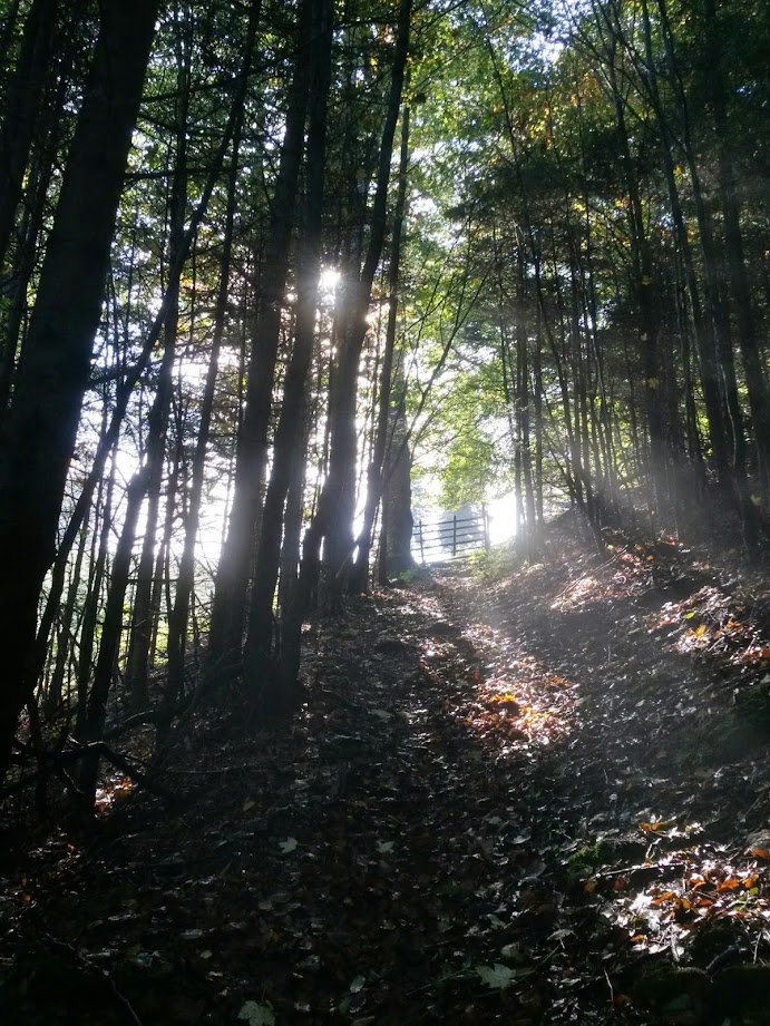 lh5.googleusercontent.com_-7ku1919zdiq_vdba-hwn3vi_aaaaaaaad-c_aycqk-0iafs_w691-h921-no_20141004_110156_richtone_28hdr_29.jpg lh5.googleusercontent.com_-7ku1919zdiq_vdba-hwn3vi_aaaaaaaad-c_aycqk-0iafs_w691-h921-no_20141004_110156_richtone_28hdr_29.jpg