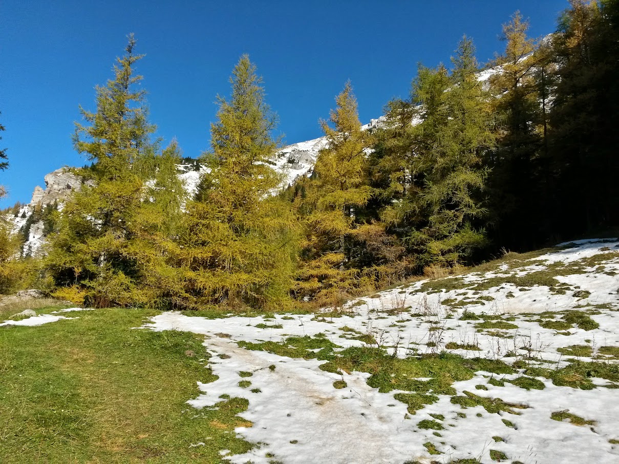 lh6.googleusercontent.com_-vy8poodcuv0_viukiou_72i_aaaaaaaaofa_4kf6cgaku7k_w1209-h907-no_20151024_105524_richtone_2528hdr_2529.jpg lh6.googleusercontent.com_-vy8poodcuv0_viukiou_72i_aaaaaaaaofa_4kf6cgaku7k_w1209-h907-no_20151024_105524_richtone_2528hdr_2529.jpg