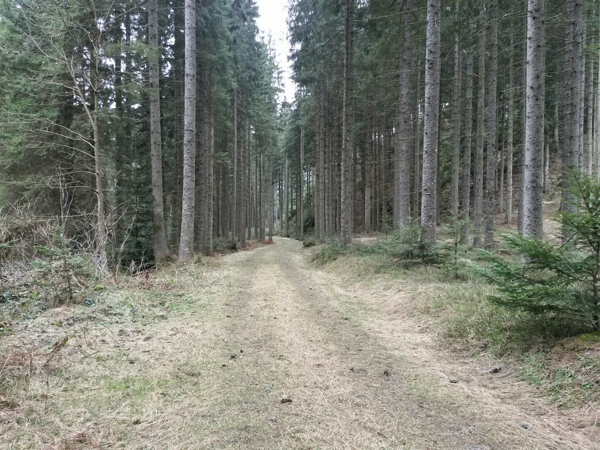 lh4.googleusercontent.com_-l9dm5rilkx4_vtkvsfglldi_aaaaaaaaii4_fwavbys-mbg_w1209-h907-no_20150418_132319_richtone_28hdr_29.jpg lh4.googleusercontent.com_-l9dm5rilkx4_vtkvsfglldi_aaaaaaaaii4_fwavbys-mbg_w1209-h907-no_20150418_132319_richtone_28hdr_29.jpg