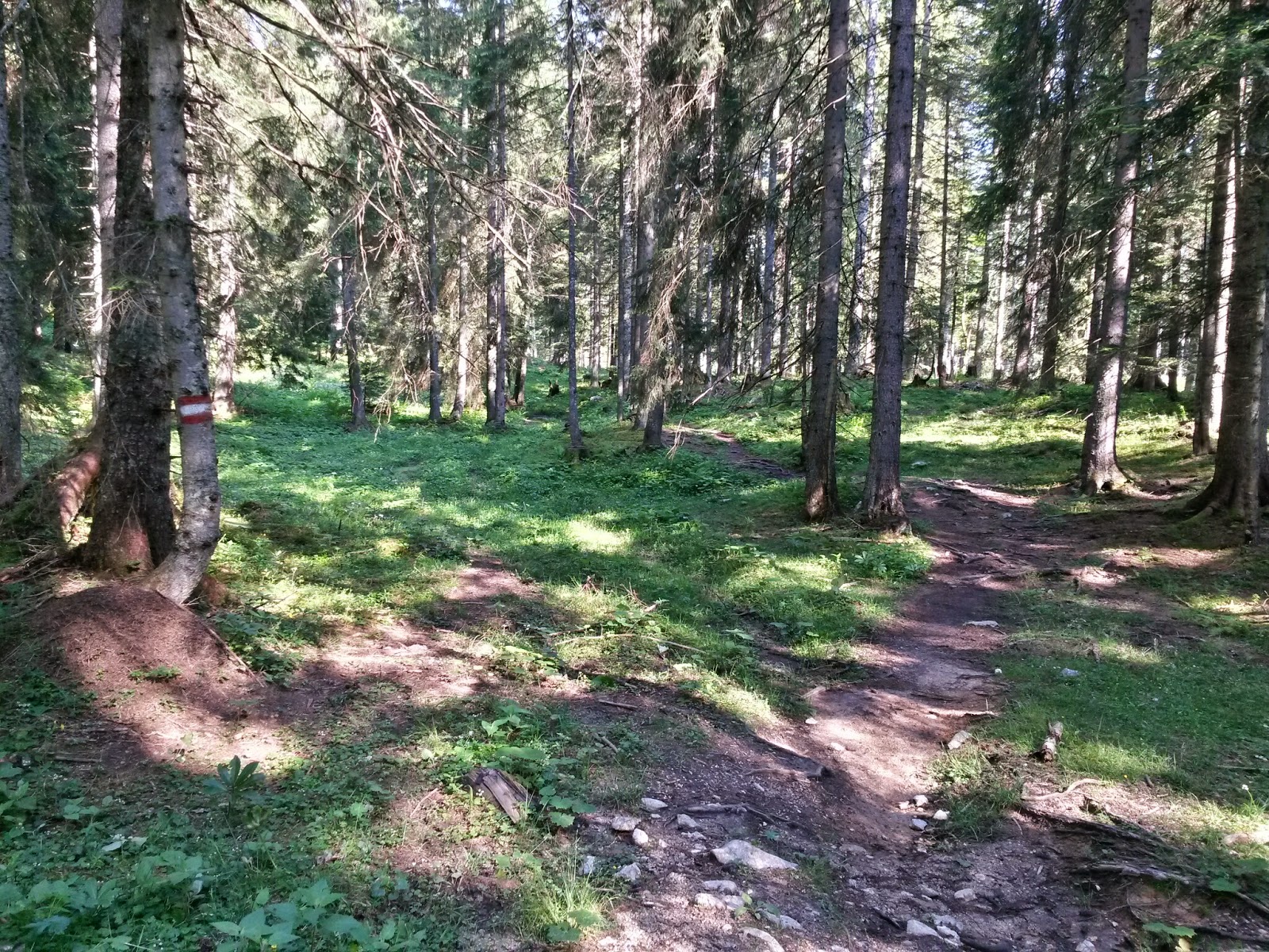 lh5.googleusercontent.com_-h9dchhuywj8_u6llpjsuc1i_aaaaaaaaagm_-eo5_ilz0wm_w1600-h1200-no_20140619_091710_richtone_2528hdr_2529.jpg lh5.googleusercontent.com_-h9dchhuywj8_u6llpjsuc1i_aaaaaaaaagm_-eo5_ilz0wm_w1600-h1200-no_20140619_091710_richtone_2528hdr_2529.jpg