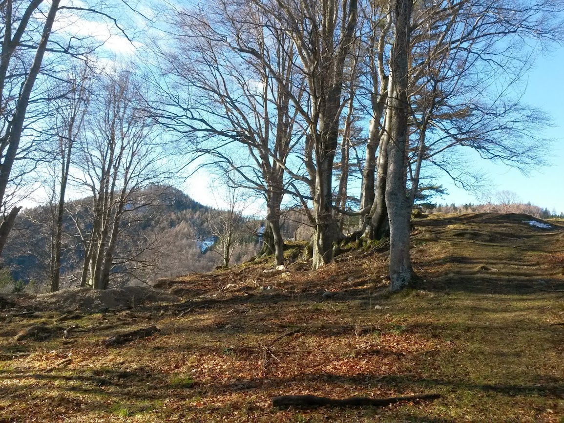 lh5.googleusercontent.com_-gtgszvatyeo_uvzk5dqvupi_aaaaaaaavco_1hwxizn7-yk_w1155-h866-no_20140208_095836.jpg lh5.googleusercontent.com_-gtgszvatyeo_uvzk5dqvupi_aaaaaaaavco_1hwxizn7-yk_w1155-h866-no_20140208_095836.jpg