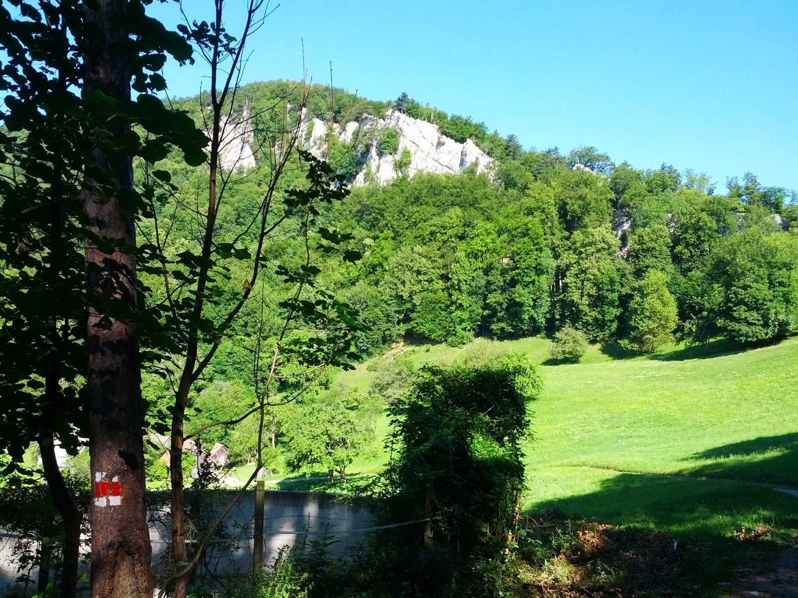 lh5.googleusercontent.com_-e4wymad4tau_ueu-bgq1izi_aaaaaaaaoqm_eboxjdczp5k_w1600-h1200-no_img_20130721_091922.jpg lh5.googleusercontent.com_-e4wymad4tau_ueu-bgq1izi_aaaaaaaaoqm_eboxjdczp5k_w1600-h1200-no_img_20130721_091922.jpg