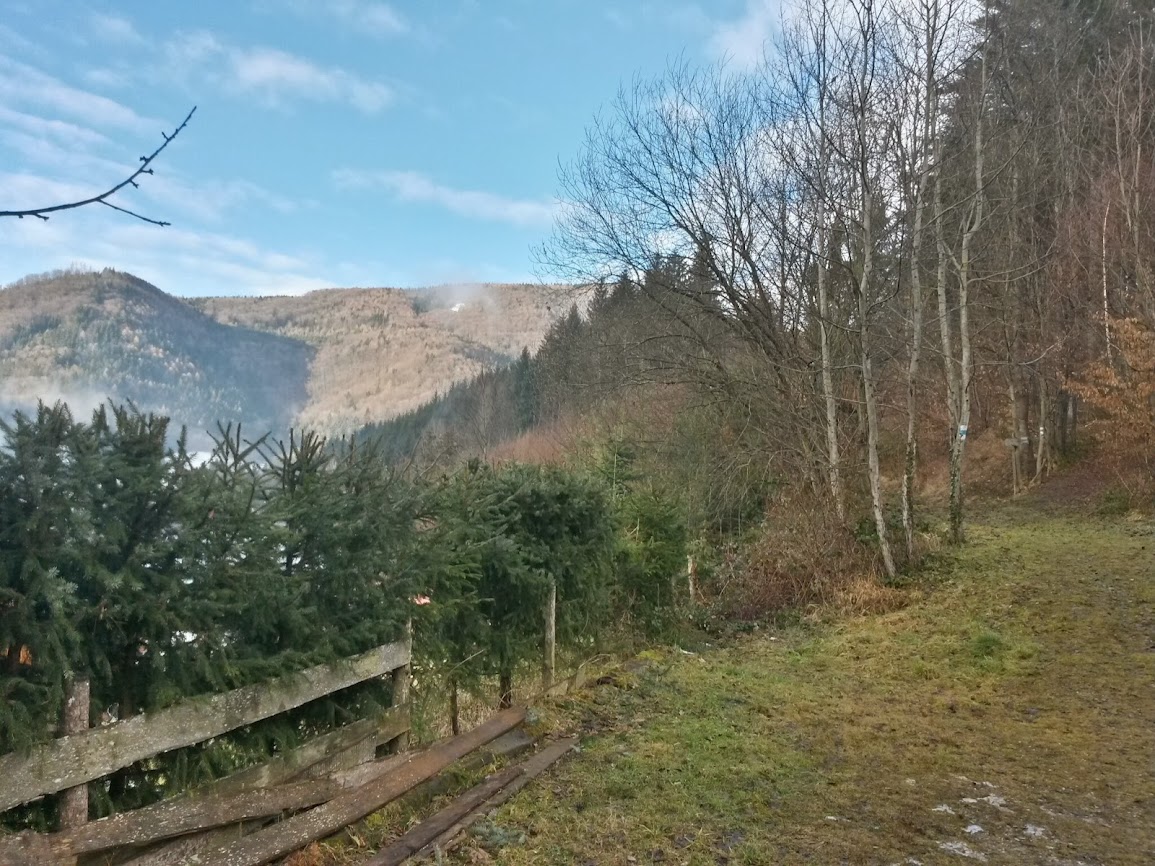 lh4.googleusercontent.com_-3oqrcspabia_uvzkpckx3ti_aaaaaaaava8_kis7ckmsqrq_w1155-h866-no_20140208_090032_richtone_2528hdr_2529.jpg lh4.googleusercontent.com_-3oqrcspabia_uvzkpckx3ti_aaaaaaaava8_kis7ckmsqrq_w1155-h866-no_20140208_090032_richtone_2528hdr_2529.jpg