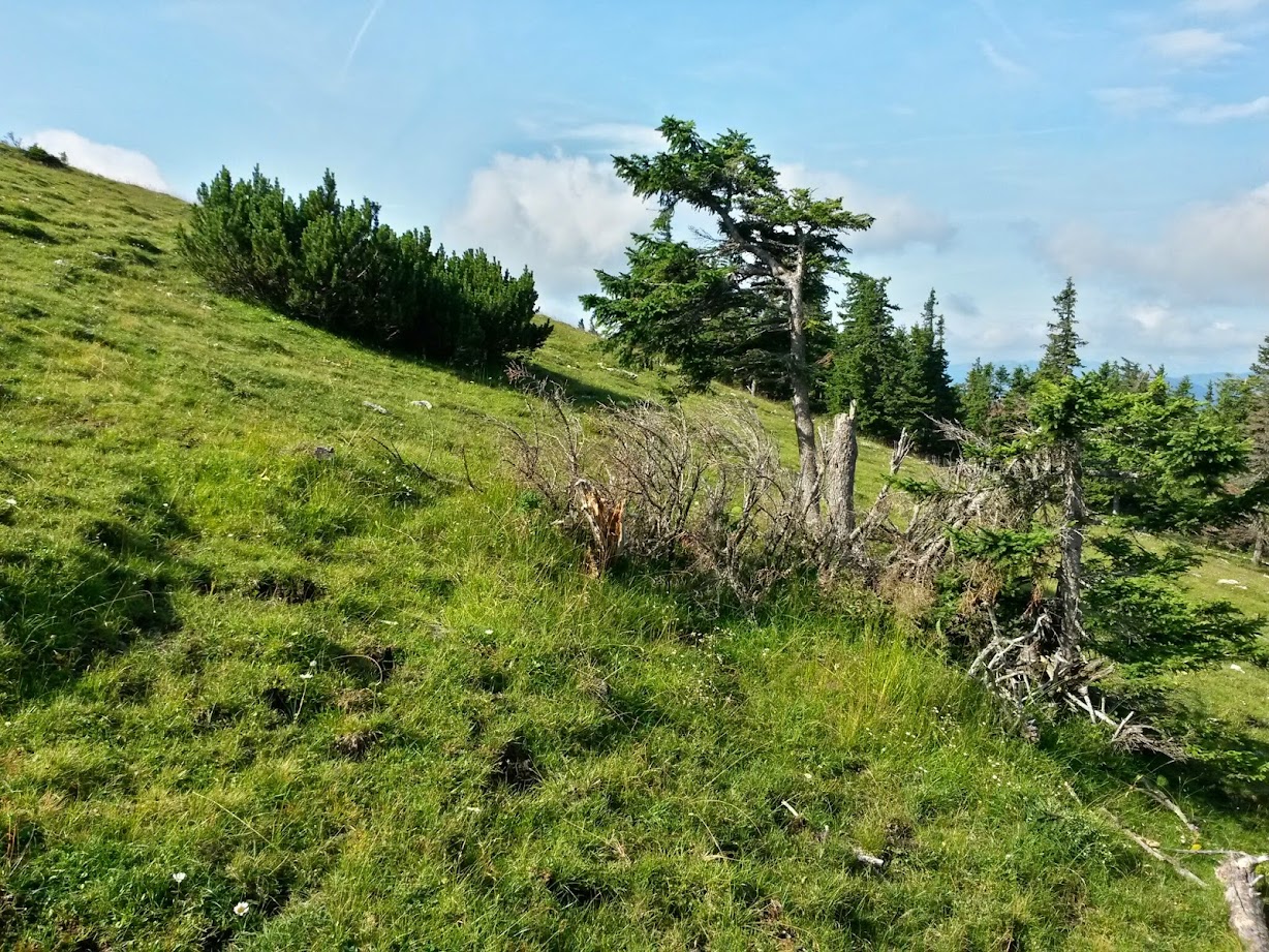 lh4.googleusercontent.com_-ya8y6impgyo_u9ozmixsbii_aaaaaaaabxg_-kalybx9j0i_w1228-h921-no_20140726_091611_richtone_2528hdr_2529.jpg lh4.googleusercontent.com_-ya8y6impgyo_u9ozmixsbii_aaaaaaaabxg_-kalybx9j0i_w1228-h921-no_20140726_091611_richtone_2528hdr_2529.jpg