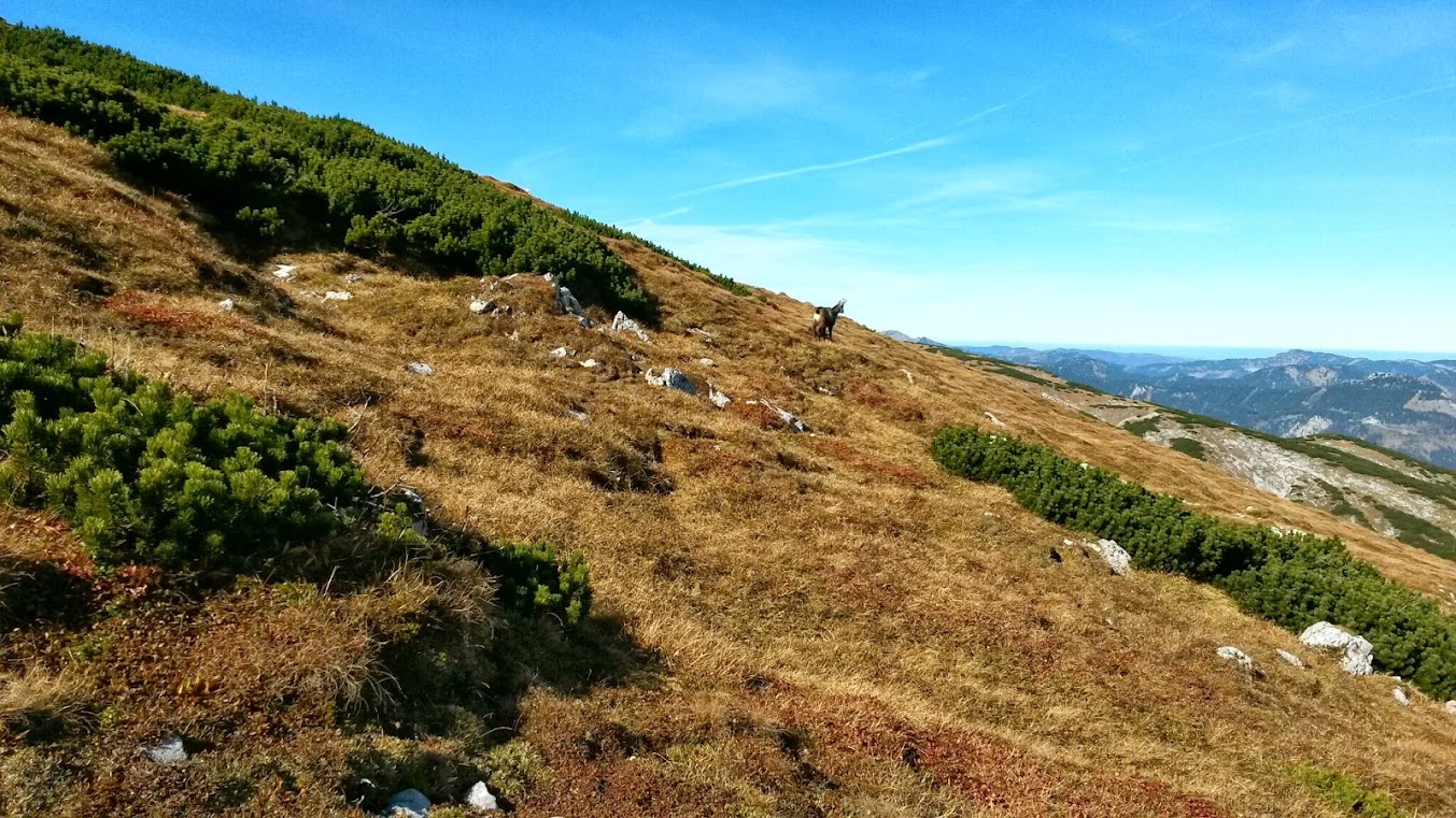 lh5.googleusercontent.com_-nso08hjzfao_umkvicbbvwi_aaaaaaaarmi_cykcdrghfce_w1353-h761-no_20131019_113342_richtone_2528hdr_2529.jpg lh5.googleusercontent.com_-nso08hjzfao_umkvicbbvwi_aaaaaaaarmi_cykcdrghfce_w1353-h761-no_20131019_113342_richtone_2528hdr_2529.jpg