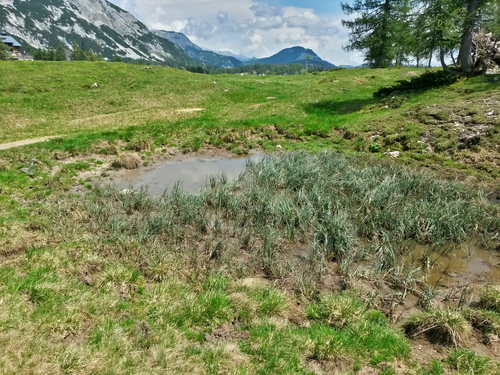 lh6.googleusercontent.com_-zsfickjnbw0_u5ncl4ctlzi_aaaaaaaazjc_ce4uquazixe_w1600-h1200-no_20140612_131401_richtone_2528hdr_2529.jpg lh6.googleusercontent.com_-zsfickjnbw0_u5ncl4ctlzi_aaaaaaaazjc_ce4uquazixe_w1600-h1200-no_20140612_131401_richtone_2528hdr_2529.jpg