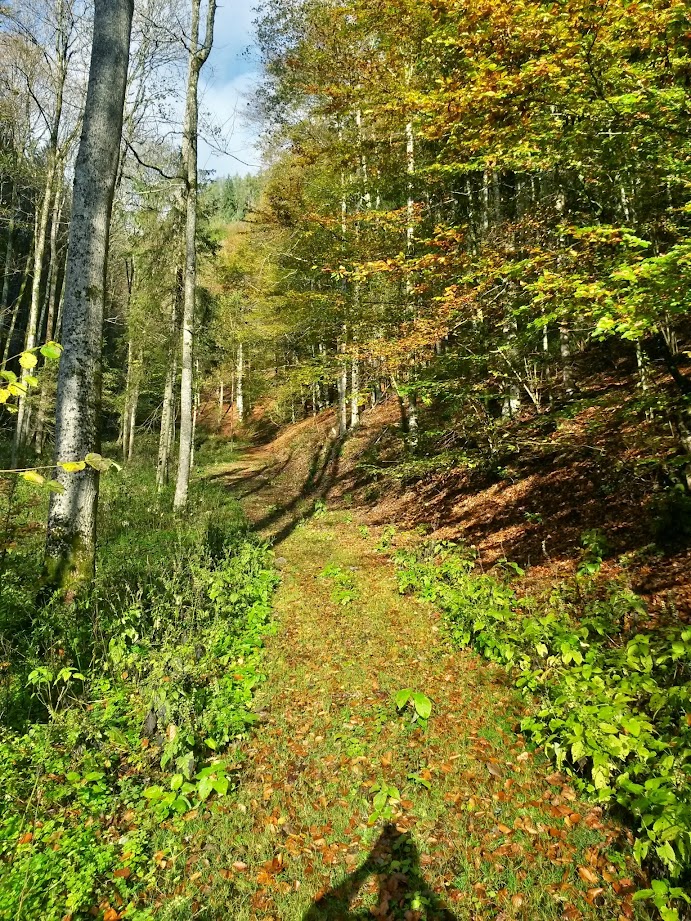 lh4.googleusercontent.com_--5kccske4lm_vejwyltivoi_aaaaaaaaeso_8jqvsy8utzw_w691-h921-no_20141018_092214_richtone_28hdr_29.jpg lh4.googleusercontent.com_--5kccske4lm_vejwyltivoi_aaaaaaaaeso_8jqvsy8utzw_w691-h921-no_20141018_092214_richtone_28hdr_29.jpg