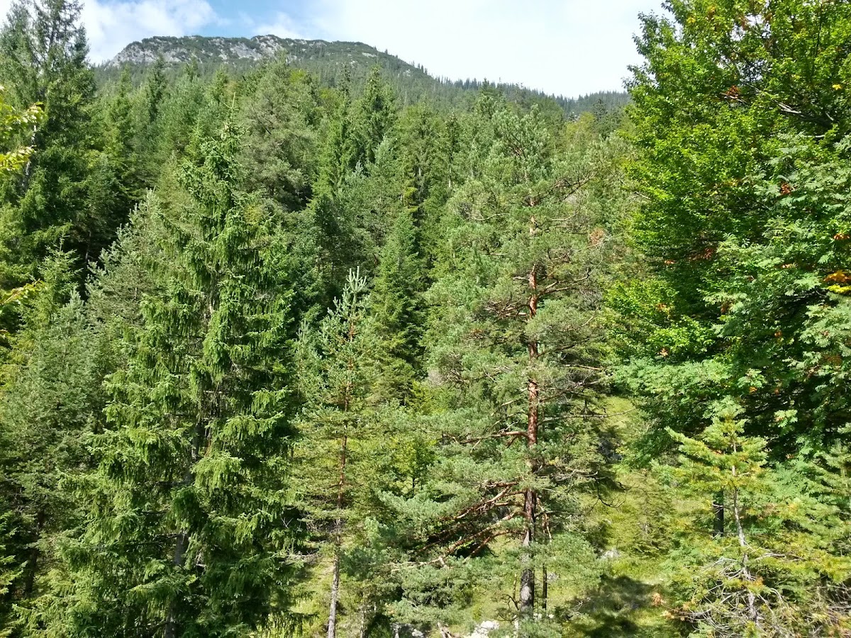 lh6.googleusercontent.com_-lfylrnlhkog_vaxfufqadxi_aaaaaaaacqg_wuuwrfds7zu_w1200-h900-no_20140907_144154_richtone_28hdr_29.jpg lh6.googleusercontent.com_-lfylrnlhkog_vaxfufqadxi_aaaaaaaacqg_wuuwrfds7zu_w1200-h900-no_20140907_144154_richtone_28hdr_29.jpg