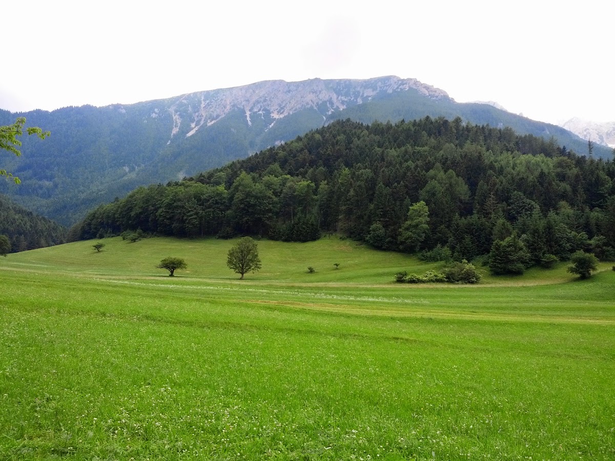 lh6.googleusercontent.com_-6iv59uunfwo_ucwsknm8kvi_aaaaaaaan-4_2ujbwoj0t3o_w1200-h900-no_img_20130622_130034.jpg lh6.googleusercontent.com_-6iv59uunfwo_ucwsknm8kvi_aaaaaaaan-4_2ujbwoj0t3o_w1200-h900-no_img_20130622_130034.jpg