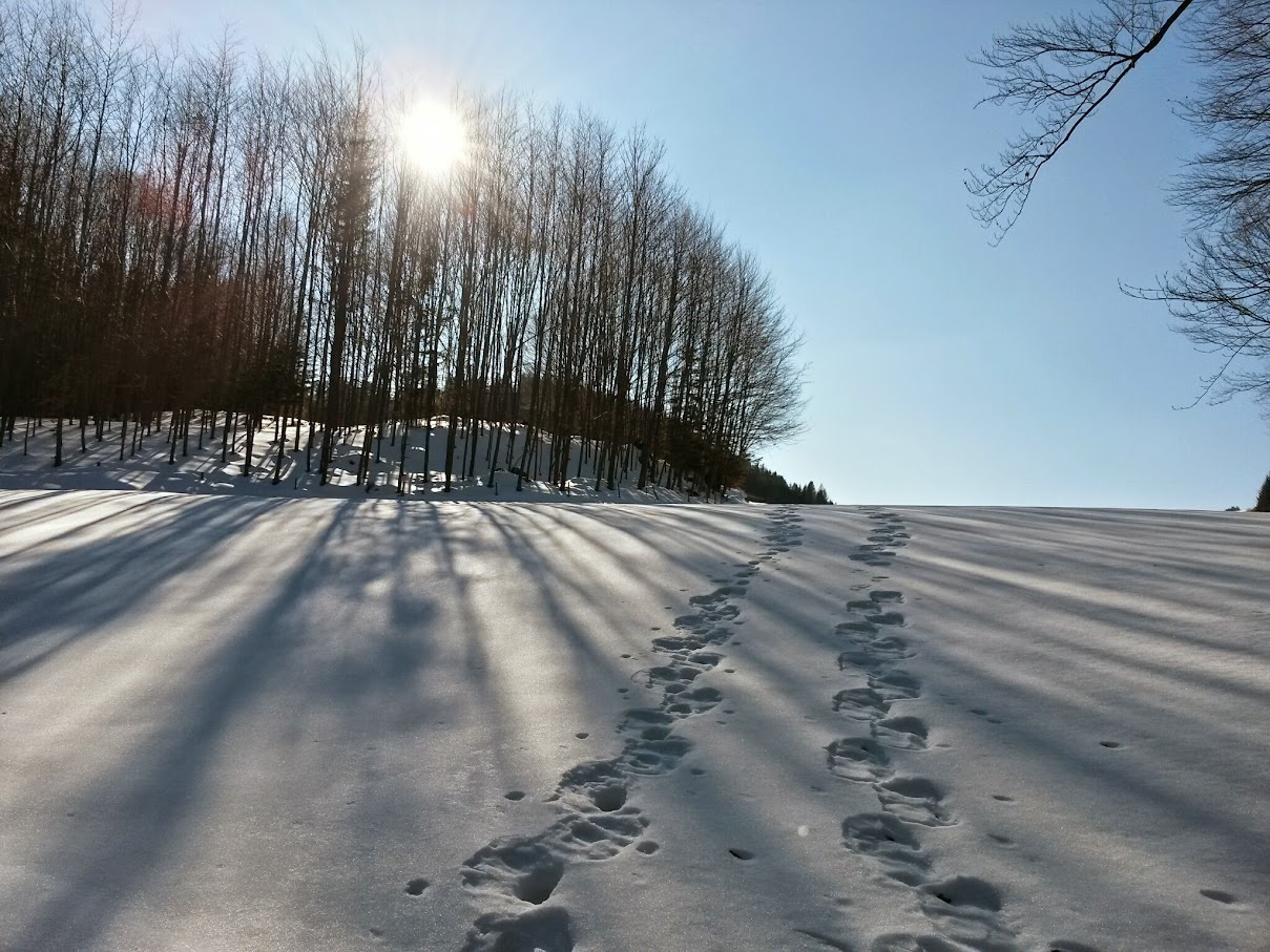 lh3.googleusercontent.com_-gqv5uujj-6u_voijbjad1yi_aaaaaaaahiq_ghxmxiqthqq_w1209-h907-no_20150221_141324_richtone_28hdr_29.jpg lh3.googleusercontent.com_-gqv5uujj-6u_voijbjad1yi_aaaaaaaahiq_ghxmxiqthqq_w1209-h907-no_20150221_141324_richtone_28hdr_29.jpg