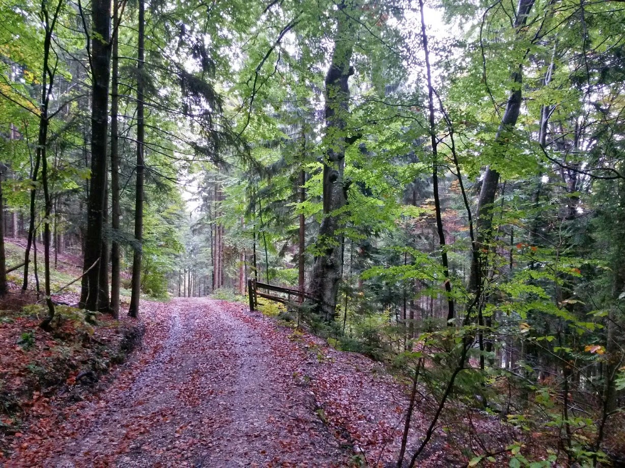 lh5.googleusercontent.com_-ieqsmavnovk_vcczhv8aewi_aaaaaaaadz4_7t5pfslkoig_w1228-h921-no_20140927_132953_richtone_28hdr_29.jpg lh5.googleusercontent.com_-ieqsmavnovk_vcczhv8aewi_aaaaaaaadz4_7t5pfslkoig_w1228-h921-no_20140927_132953_richtone_28hdr_29.jpg