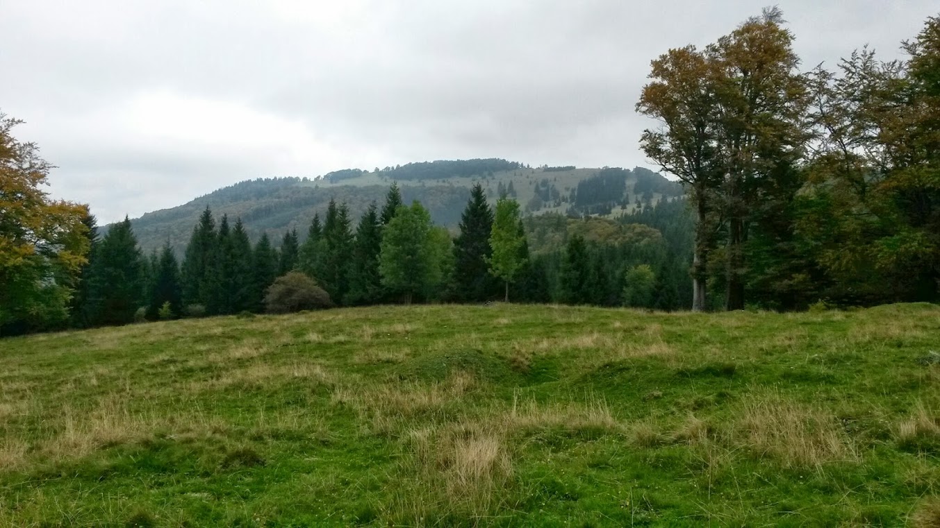 lh4.googleusercontent.com_-gtrqk6d-oxk_ukgkz4nxndi_aaaaaaaaqt4_h0-kqvxho1g_w1353-h761-no_20130929_102933.jpg lh4.googleusercontent.com_-gtrqk6d-oxk_ukgkz4nxndi_aaaaaaaaqt4_h0-kqvxho1g_w1353-h761-no_20130929_102933.jpg