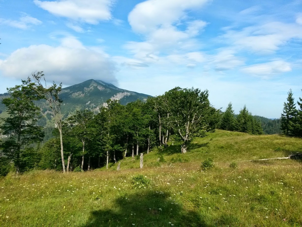 lh5.googleusercontent.com_-o67jxo8bihc_u9ozkm_drti_aaaaaaaabxu_cbm_8wj6mi0_w1228-h921-no_20140726_090333_richtone_2528hdr_2529.jpg lh5.googleusercontent.com_-o67jxo8bihc_u9ozkm_drti_aaaaaaaabxu_cbm_8wj6mi0_w1228-h921-no_20140726_090333_richtone_2528hdr_2529.jpg