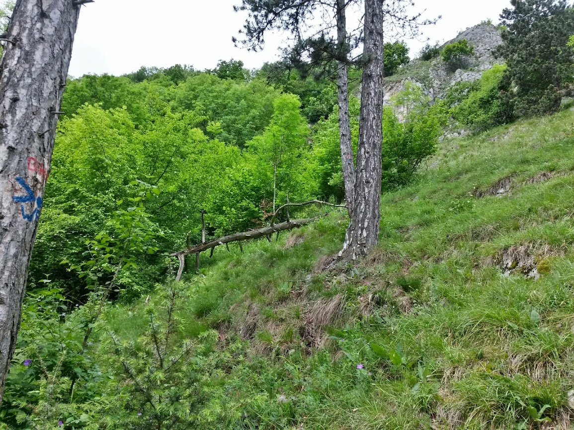 lh4.googleusercontent.com_-mktxdm9n5qo_u4chdpob6vi_aaaaaaaayb8_hl1zgdktkhg_w1155-h866-no_20140529_103428_richtone_2528hdr_2529.jpg lh4.googleusercontent.com_-mktxdm9n5qo_u4chdpob6vi_aaaaaaaayb8_hl1zgdktkhg_w1155-h866-no_20140529_103428_richtone_2528hdr_2529.jpg