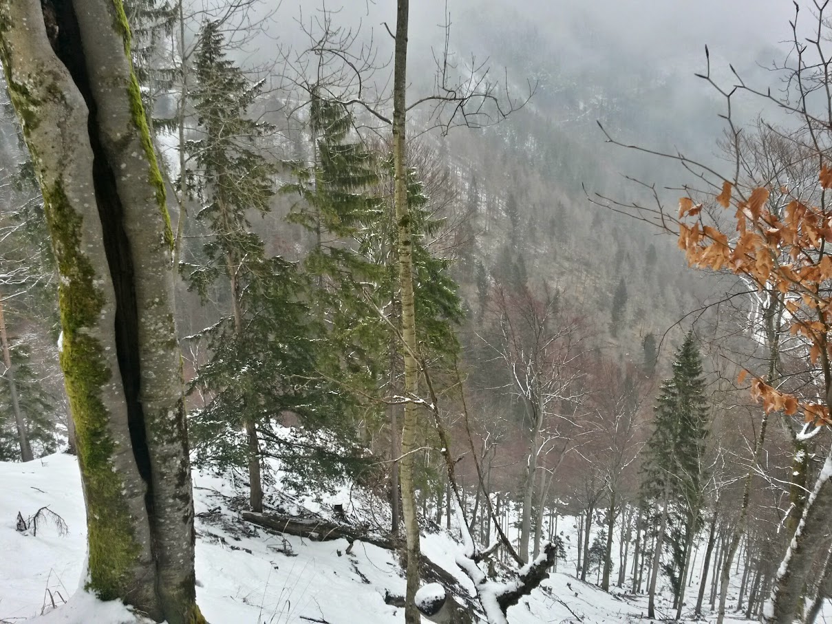 lh3.googleusercontent.com_-opzmpwds85m_vqp-hfxm39i_aaaaaaaah2i_rjtj_9rtt1w_w1209-h907-no_20150314_102337_richtone_28hdr_29.jpg lh3.googleusercontent.com_-opzmpwds85m_vqp-hfxm39i_aaaaaaaah2i_rjtj_9rtt1w_w1209-h907-no_20150314_102337_richtone_28hdr_29.jpg