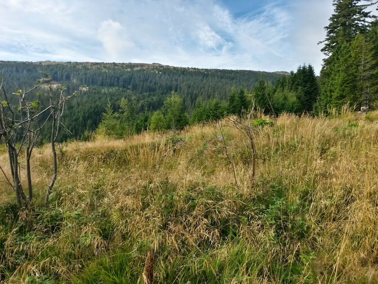 lh6.googleusercontent.com_-olxumsoseli_vagzekmaati_aaaaaaaacum_ytywm1kzywk_w1228-h921-no_20140830_090811_richtone_28hdr_29.jpg lh6.googleusercontent.com_-olxumsoseli_vagzekmaati_aaaaaaaacum_ytywm1kzywk_w1228-h921-no_20140830_090811_richtone_28hdr_29.jpg