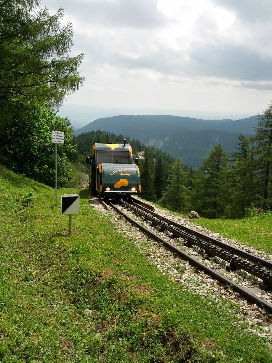 lh5.googleusercontent.com_-g8vuejjy44q_ucwrmjjdiji_aaaaaaaan9w_bqc2pdsi0lw_w900-h1200-no_img_20130622_113602.jpg lh5.googleusercontent.com_-g8vuejjy44q_ucwrmjjdiji_aaaaaaaan9w_bqc2pdsi0lw_w900-h1200-no_img_20130622_113602.jpg