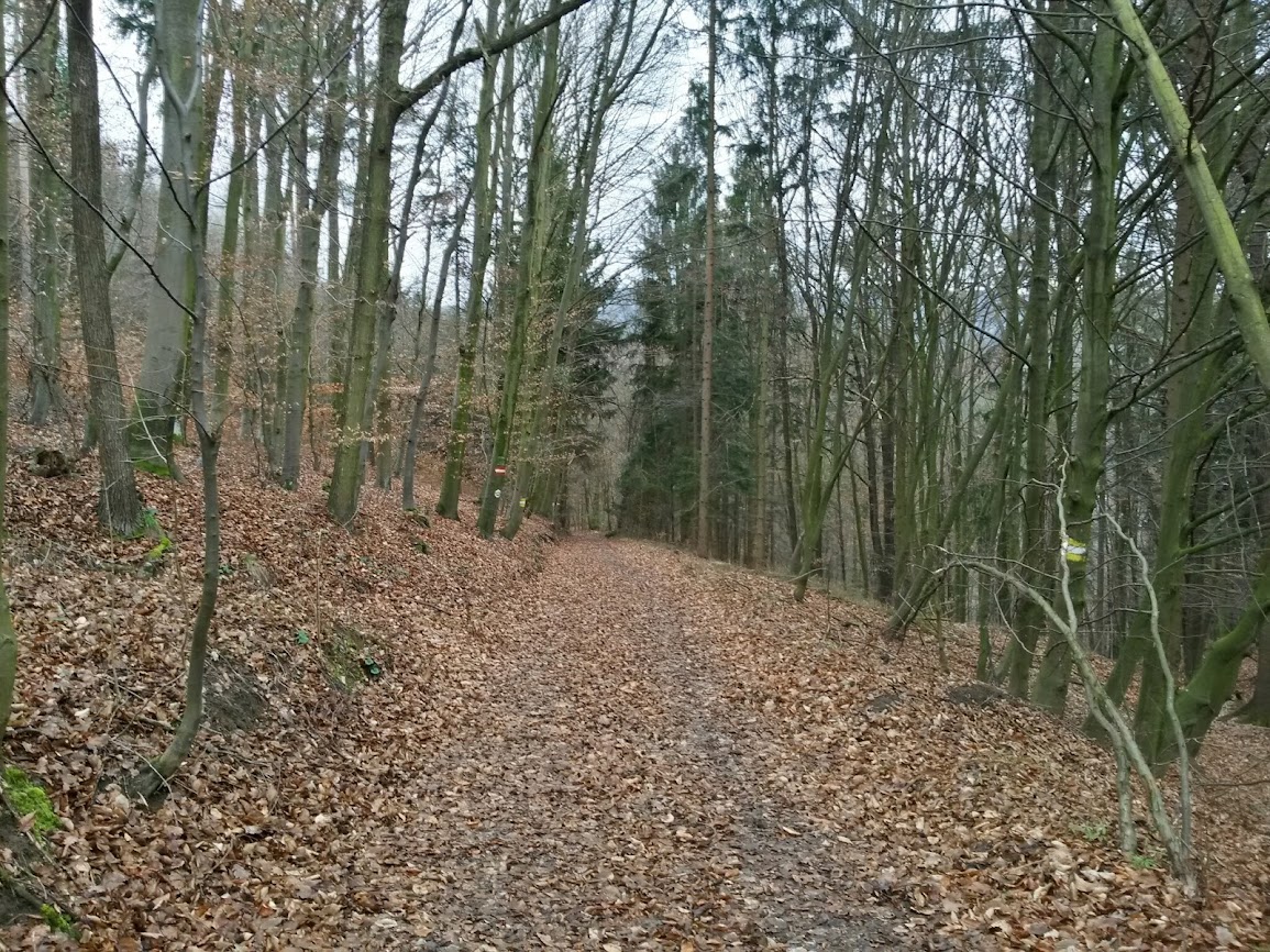 lh5.googleusercontent.com_-3ogqeepzdbe_uwje_3zetqi_aaaaaaaavbm_yzvhsdkpd9c_w1155-h866-no_20140222_144852_richtone_2528hdr_2529.jpg lh5.googleusercontent.com_-3ogqeepzdbe_uwje_3zetqi_aaaaaaaavbm_yzvhsdkpd9c_w1155-h866-no_20140222_144852_richtone_2528hdr_2529.jpg