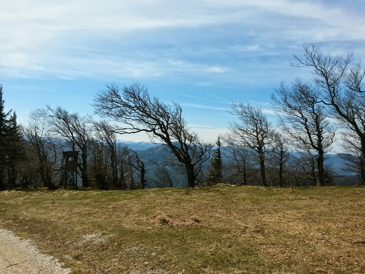 lh6.googleusercontent.com_-ajqwldxbjci_vtulwpsblpi_aaaaaaaaiq8_zrqgxcejbgg_w1209-h907-no_20150425_131039_richtone_28hdr_29.jpg lh6.googleusercontent.com_-ajqwldxbjci_vtulwpsblpi_aaaaaaaaiq8_zrqgxcejbgg_w1209-h907-no_20150425_131039_richtone_28hdr_29.jpg