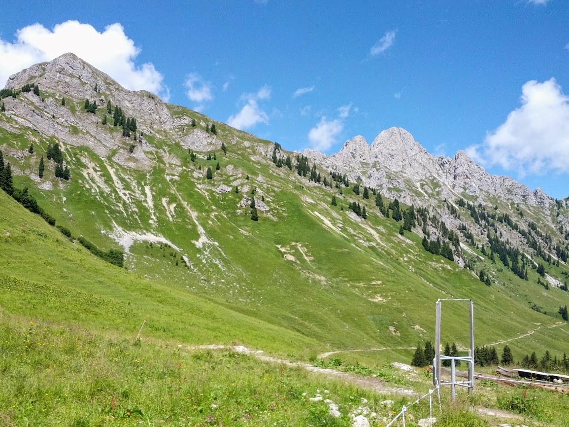 lh3.googleusercontent.com_-rsjcvbhtazi_ufkkvmw-kxi_aaaaaaaaphe_tsyp5l2uqjo_w1155-h866-no_img_20130731_131203.jpg lh3.googleusercontent.com_-rsjcvbhtazi_ufkkvmw-kxi_aaaaaaaaphe_tsyp5l2uqjo_w1155-h866-no_img_20130731_131203.jpg