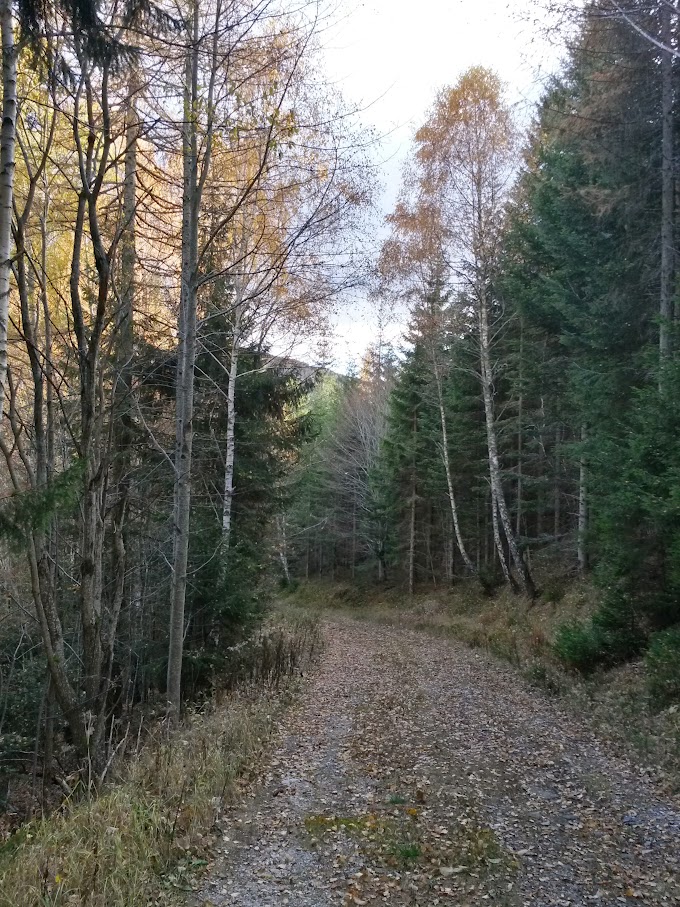 lh4.googleusercontent.com_-3e40rcjnuxs_vj4uvp1m_ui_aaaaaaaao74_pswiu2vy58u_w680-h907-no_20151107_132036_richtone_2528hdr_2529.jpg lh4.googleusercontent.com_-3e40rcjnuxs_vj4uvp1m_ui_aaaaaaaao74_pswiu2vy58u_w680-h907-no_20151107_132036_richtone_2528hdr_2529.jpg