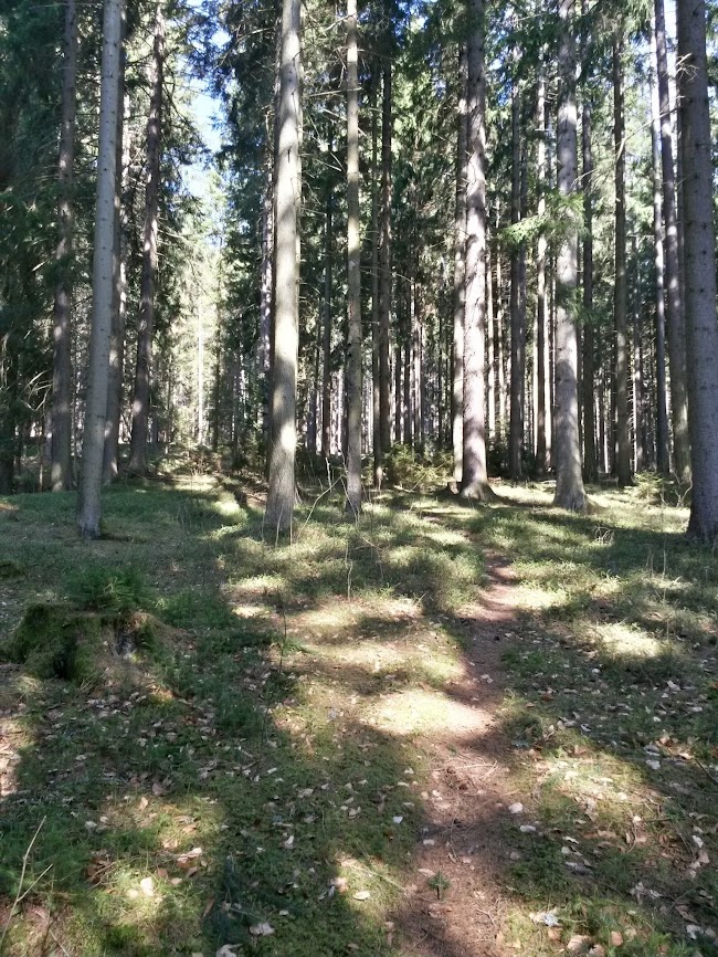 lh4.googleusercontent.com_-2lwganbw2rk_uzajwsvf8ii_aaaaaaaawcs_lwm1emztigw_w650-h866-no_20140329_092436_richtone_2528hdr_2529.jpg lh4.googleusercontent.com_-2lwganbw2rk_uzajwsvf8ii_aaaaaaaawcs_lwm1emztigw_w650-h866-no_20140329_092436_richtone_2528hdr_2529.jpg