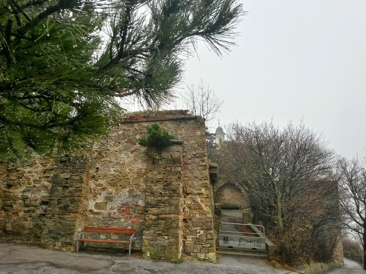 lh4.googleusercontent.com_-r0lfsoqzcve_vil313i0c7i_aaaaaaaafs8_bybcqexus2u_w1228-h921-no_20141206_094350_richtone_28hdr_29.jpg lh4.googleusercontent.com_-r0lfsoqzcve_vil313i0c7i_aaaaaaaafs8_bybcqexus2u_w1228-h921-no_20141206_094350_richtone_28hdr_29.jpg