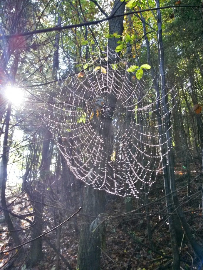 lh5.googleusercontent.com_-4_r0v55f2re_vdbb1qqn8bi_aaaaaaaaeck_yrlwhdbebwi_w691-h921-no_20141004_110058_richtone_28hdr_29.jpg lh5.googleusercontent.com_-4_r0v55f2re_vdbb1qqn8bi_aaaaaaaaeck_yrlwhdbebwi_w691-h921-no_20141004_110058_richtone_28hdr_29.jpg