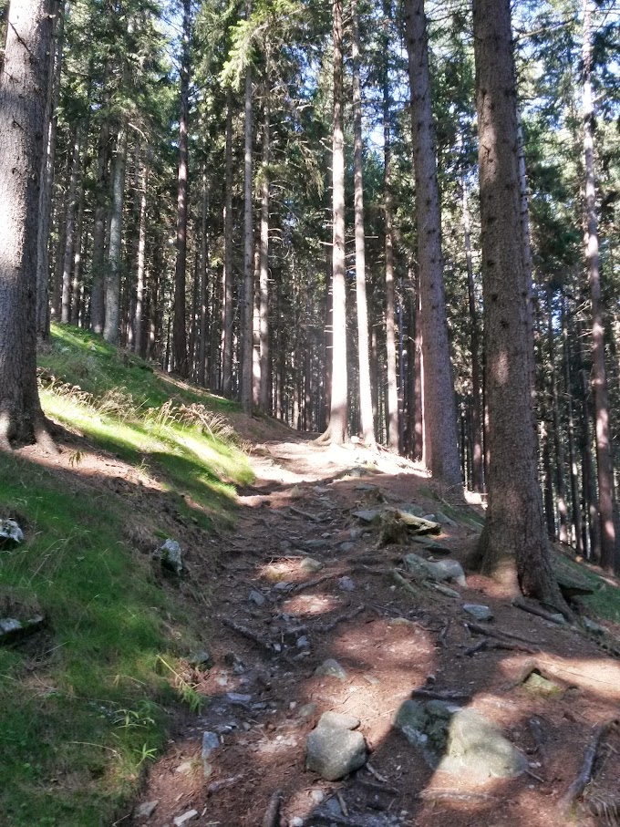 lh6.googleusercontent.com_-doxes4vjqkm_vfrzmufnsui_aaaaaaaanys_9o6i2d4wcja_w680-h907-no_20150912_094441_richtone_2528hdr_2529.jpg lh6.googleusercontent.com_-doxes4vjqkm_vfrzmufnsui_aaaaaaaanys_9o6i2d4wcja_w680-h907-no_20150912_094441_richtone_2528hdr_2529.jpg