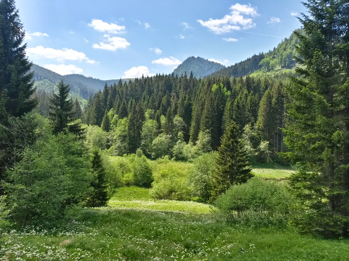 lh6.googleusercontent.com_-j42q-vdz9mc_vxmatv9sk0i_aaaaaaaaj04_psyiiqxcesg_w1209-h907-no_20150606_121711_richtone_2528hdr_2529.jpg lh6.googleusercontent.com_-j42q-vdz9mc_vxmatv9sk0i_aaaaaaaaj04_psyiiqxcesg_w1209-h907-no_20150606_121711_richtone_2528hdr_2529.jpg