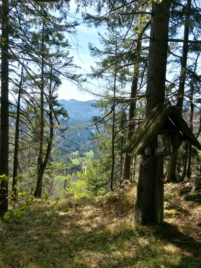 lh6.googleusercontent.com_-zlco9t5zwvm_vtul4jaymci_aaaaaaaairg_ye0sn5qqwma_w680-h907-no_20150425_135319_richtone_28hdr_29.jpg lh6.googleusercontent.com_-zlco9t5zwvm_vtul4jaymci_aaaaaaaairg_ye0sn5qqwma_w680-h907-no_20150425_135319_richtone_28hdr_29.jpg