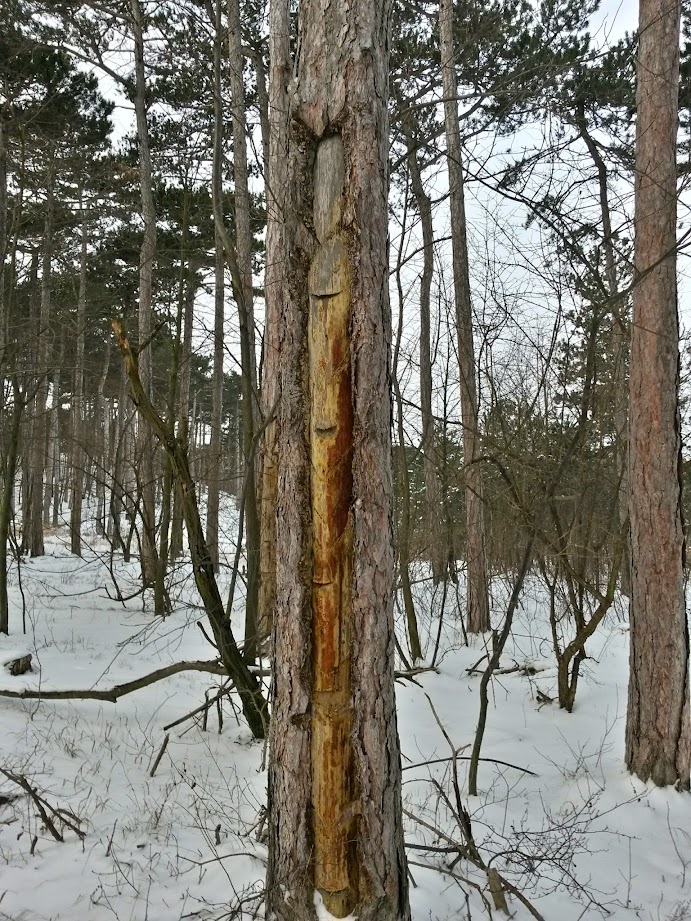 lh4.googleusercontent.com_-06k7uzvnloc_vkqujrcsf2i_aaaaaaaagou_bwer_j9ivs4_w691-h921-no_20141231_101009_richtone_28hdr_29.jpg lh4.googleusercontent.com_-06k7uzvnloc_vkqujrcsf2i_aaaaaaaagou_bwer_j9ivs4_w691-h921-no_20141231_101009_richtone_28hdr_29.jpg