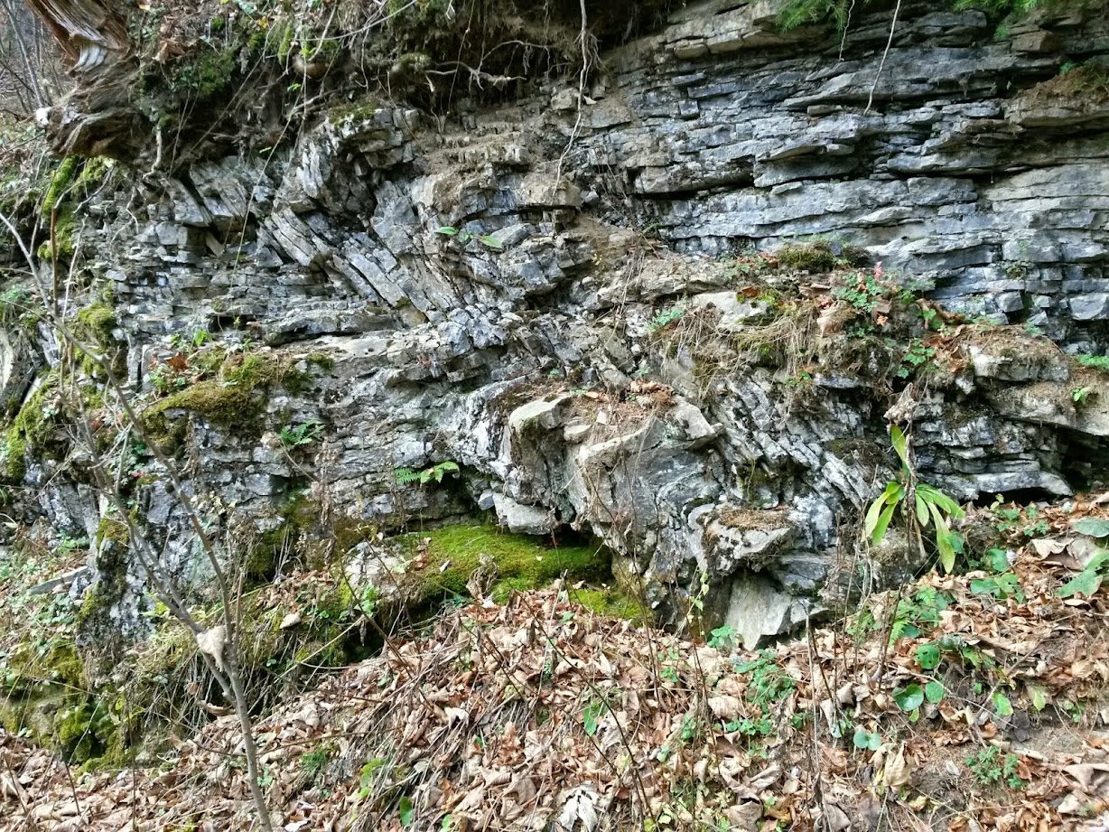 lh4.googleusercontent.com_-5avqxwi8wei_vgdtqwhbufi_aaaaaaaae9w_m3i9xiptley_w1228-h921-no_20141115_130205_richtone_28hdr_29.jpg lh4.googleusercontent.com_-5avqxwi8wei_vgdtqwhbufi_aaaaaaaae9w_m3i9xiptley_w1228-h921-no_20141115_130205_richtone_28hdr_29.jpg