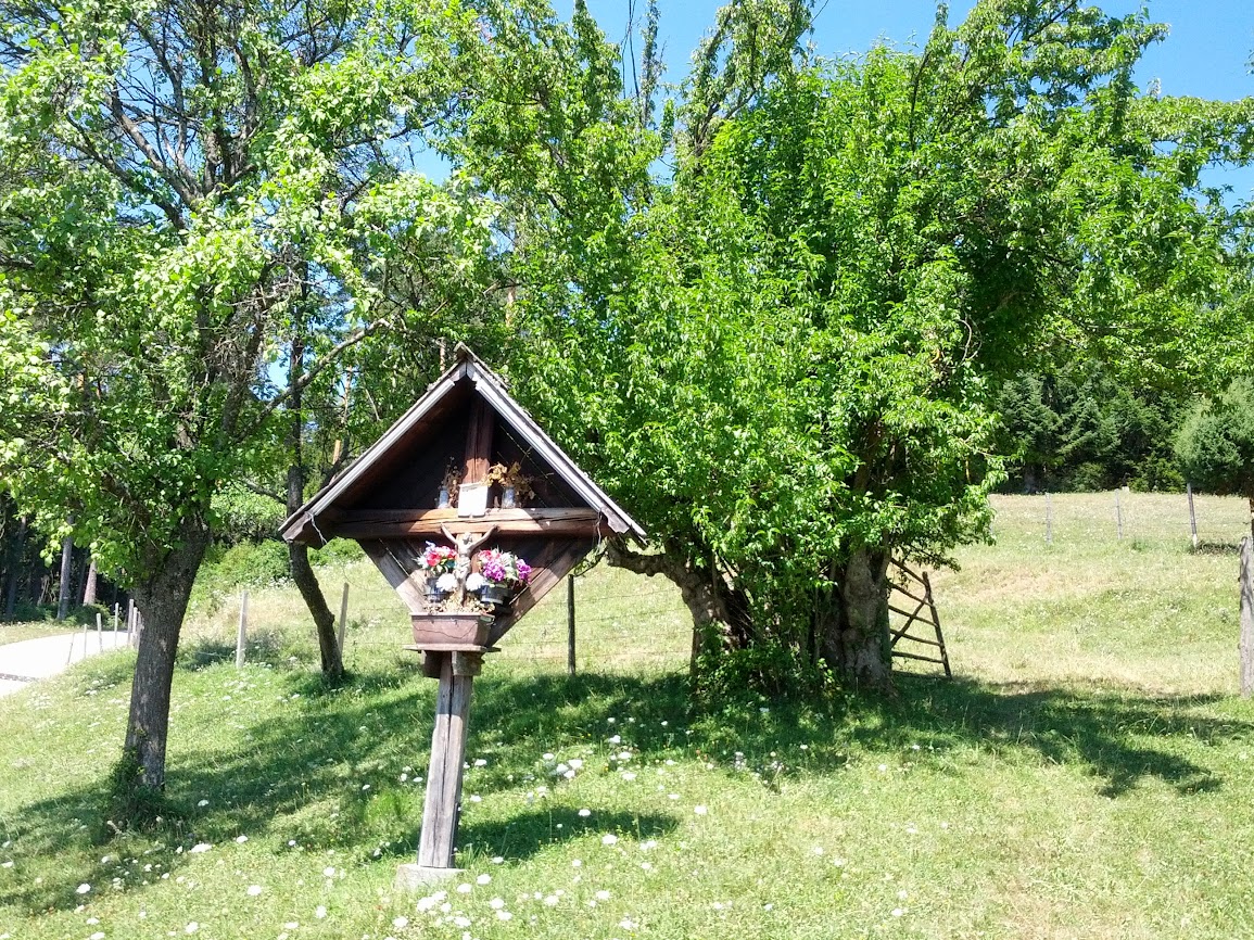 lh4.googleusercontent.com_-t9nhars0wjo_ufzu4dqqjji_aaaaaaaapvu_zzeh1kfoebu_w1155-h866-no_img_20130803_115607.jpg lh4.googleusercontent.com_-t9nhars0wjo_ufzu4dqqjji_aaaaaaaapvu_zzeh1kfoebu_w1155-h866-no_img_20130803_115607.jpg