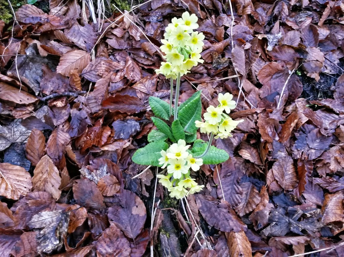 lh3.googleusercontent.com_-mmyuzxzqyeu_u0fvmx3hiii_aaaaaaaawc4_1cpcy0kk9rm_w1155-h866-no_20140411_115115_richtone_2528hdr_2529.jpg lh3.googleusercontent.com_-mmyuzxzqyeu_u0fvmx3hiii_aaaaaaaawc4_1cpcy0kk9rm_w1155-h866-no_20140411_115115_richtone_2528hdr_2529.jpg