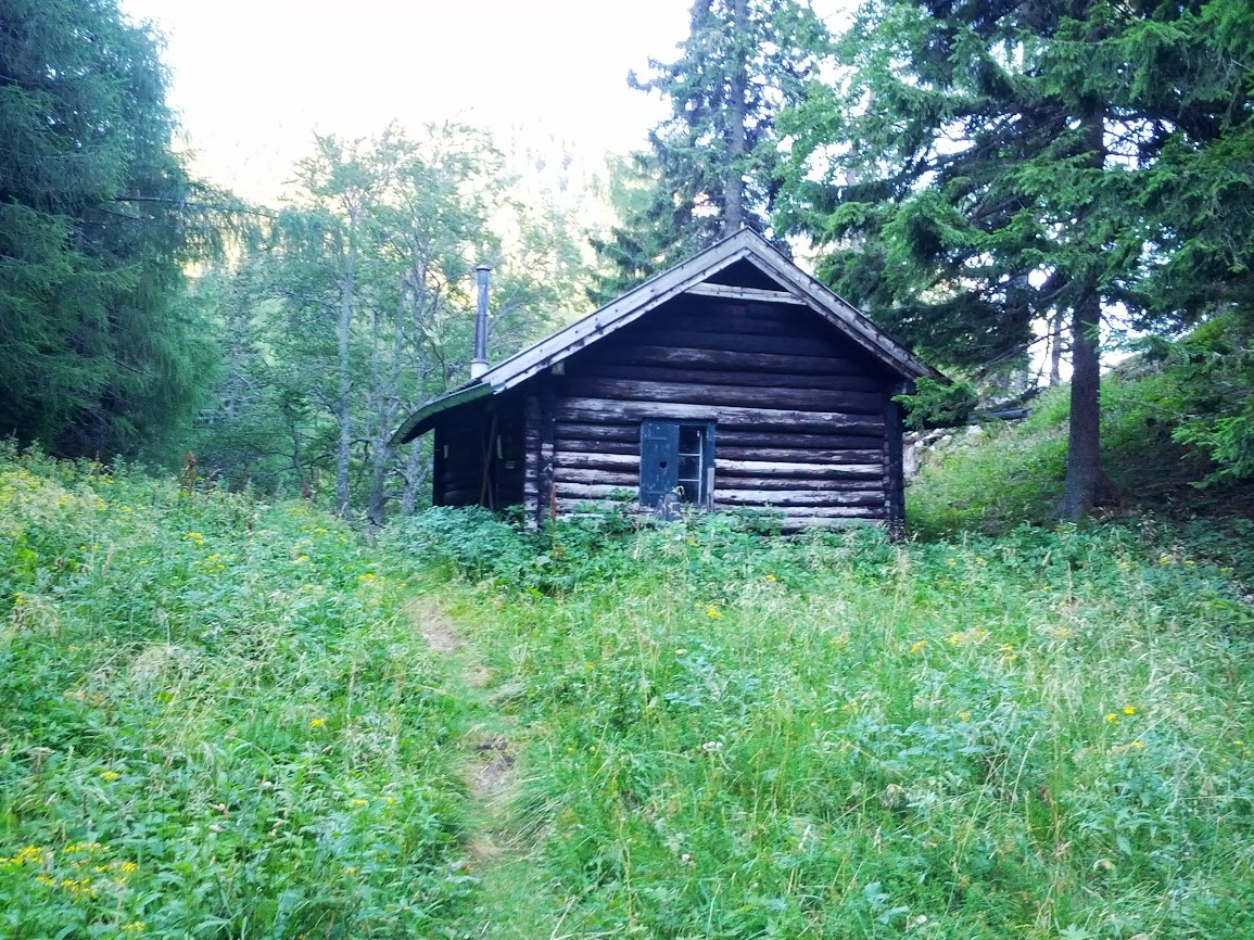 lh5.googleusercontent.com_-mt-kjse1oji_ug-hpfefbmi_aaaaaaaapps_qhwtbdd35vi_w1155-h866-no_img_20130817_085211.jpg lh5.googleusercontent.com_-mt-kjse1oji_ug-hpfefbmi_aaaaaaaapps_qhwtbdd35vi_w1155-h866-no_img_20130817_085211.jpg