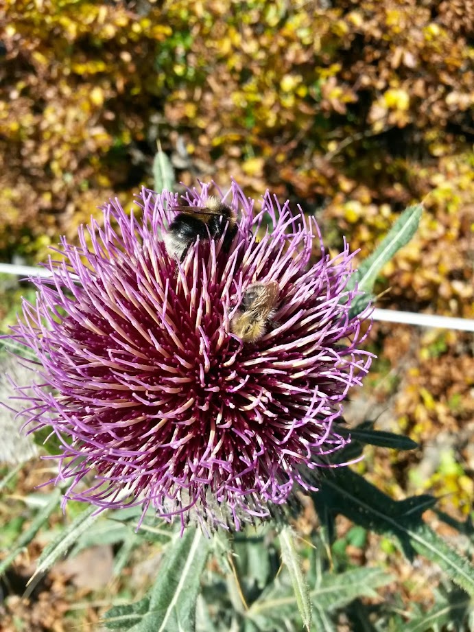 lh6.googleusercontent.com_-xig5ioqorp8_vdbbqvb-csi_aaaaaaaaeag_lrff85a1bxo_w691-h921-no_20141004_123228_richtone_28hdr_29.jpg lh6.googleusercontent.com_-xig5ioqorp8_vdbbqvb-csi_aaaaaaaaeag_lrff85a1bxo_w691-h921-no_20141004_123228_richtone_28hdr_29.jpg