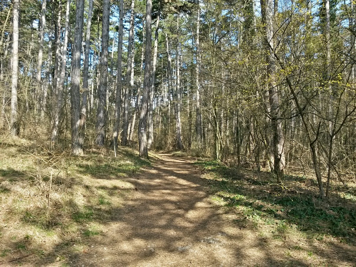 lh4.googleusercontent.com_-a_gytk6fxeo_vra4yykotti_aaaaaaaaicy_e4340abfaes_w1209-h907-no_20150328_093727_richtone_28hdr_29.jpg lh4.googleusercontent.com_-a_gytk6fxeo_vra4yykotti_aaaaaaaaicy_e4340abfaes_w1209-h907-no_20150328_093727_richtone_28hdr_29.jpg