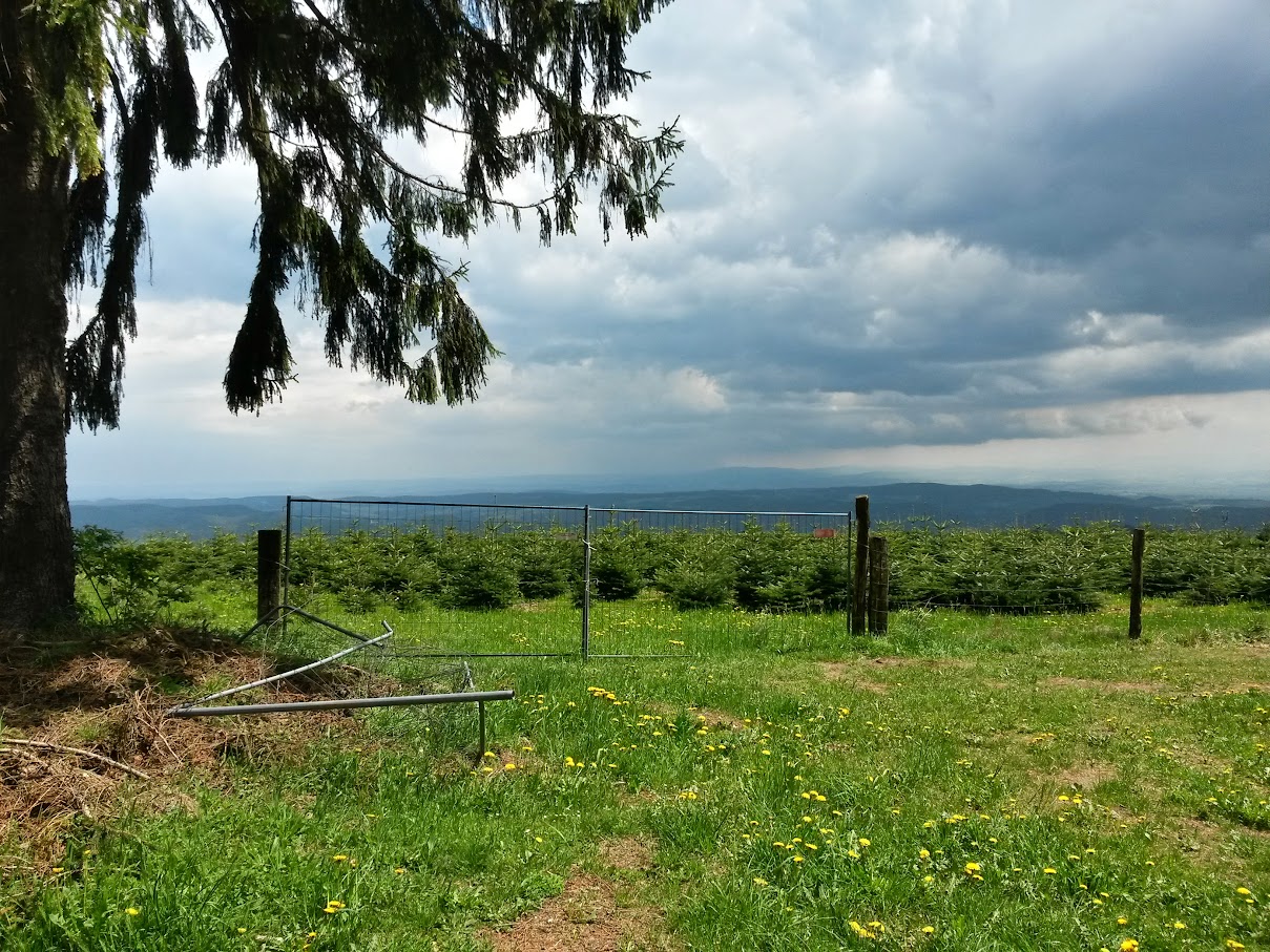 lh4.googleusercontent.com_-nr9vszcxjps_vvstlab7zji_aaaaaaaajcg_lwqu7q15q6u_w1209-h907-no_20150514_132856_richtone_2528hdr_2529.jpg lh4.googleusercontent.com_-nr9vszcxjps_vvstlab7zji_aaaaaaaajcg_lwqu7q15q6u_w1209-h907-no_20150514_132856_richtone_2528hdr_2529.jpg