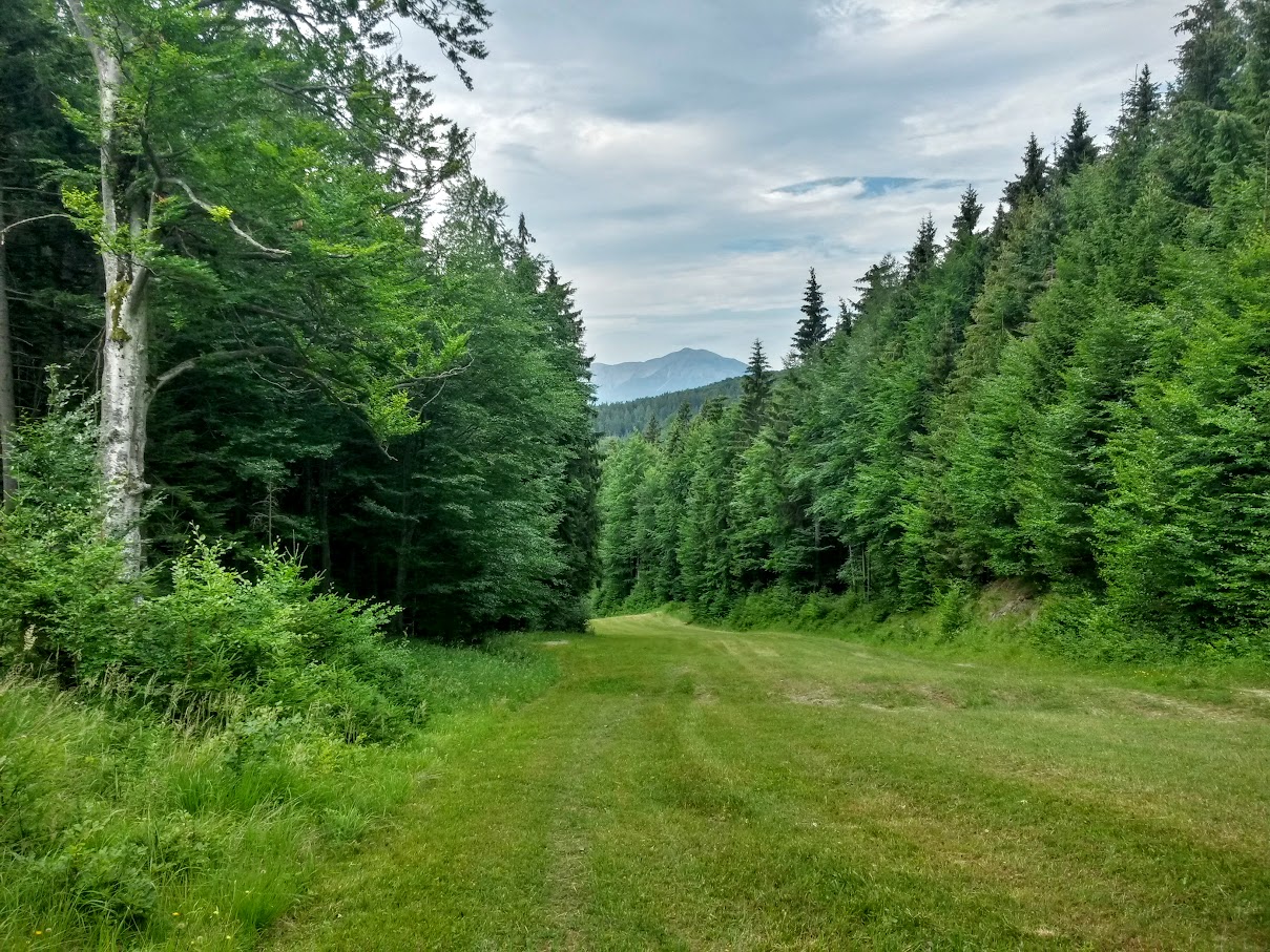 lh4.googleusercontent.com_-7a9kmwv-0lo_vbnn7pwqoxi_aaaaaaaam18_qhac7z8k8m8_w1209-h907-no_20150725_094145_richtone_2528hdr_2529.jpg lh4.googleusercontent.com_-7a9kmwv-0lo_vbnn7pwqoxi_aaaaaaaam18_qhac7z8k8m8_w1209-h907-no_20150725_094145_richtone_2528hdr_2529.jpg