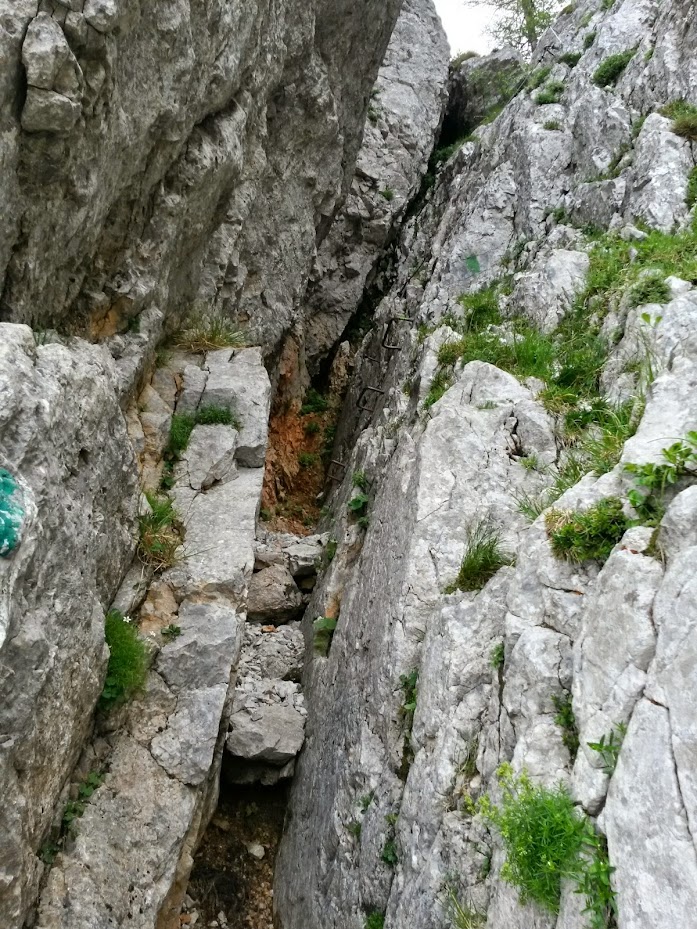 lh6.googleusercontent.com_-kfttvjmacmg_u7f9ajovari_aaaaaaaaa7w_axbifipemx8_w697-h929-no_20140705_092915_richtone_2528hdr_2529.jpg lh6.googleusercontent.com_-kfttvjmacmg_u7f9ajovari_aaaaaaaaa7w_axbifipemx8_w697-h929-no_20140705_092915_richtone_2528hdr_2529.jpg