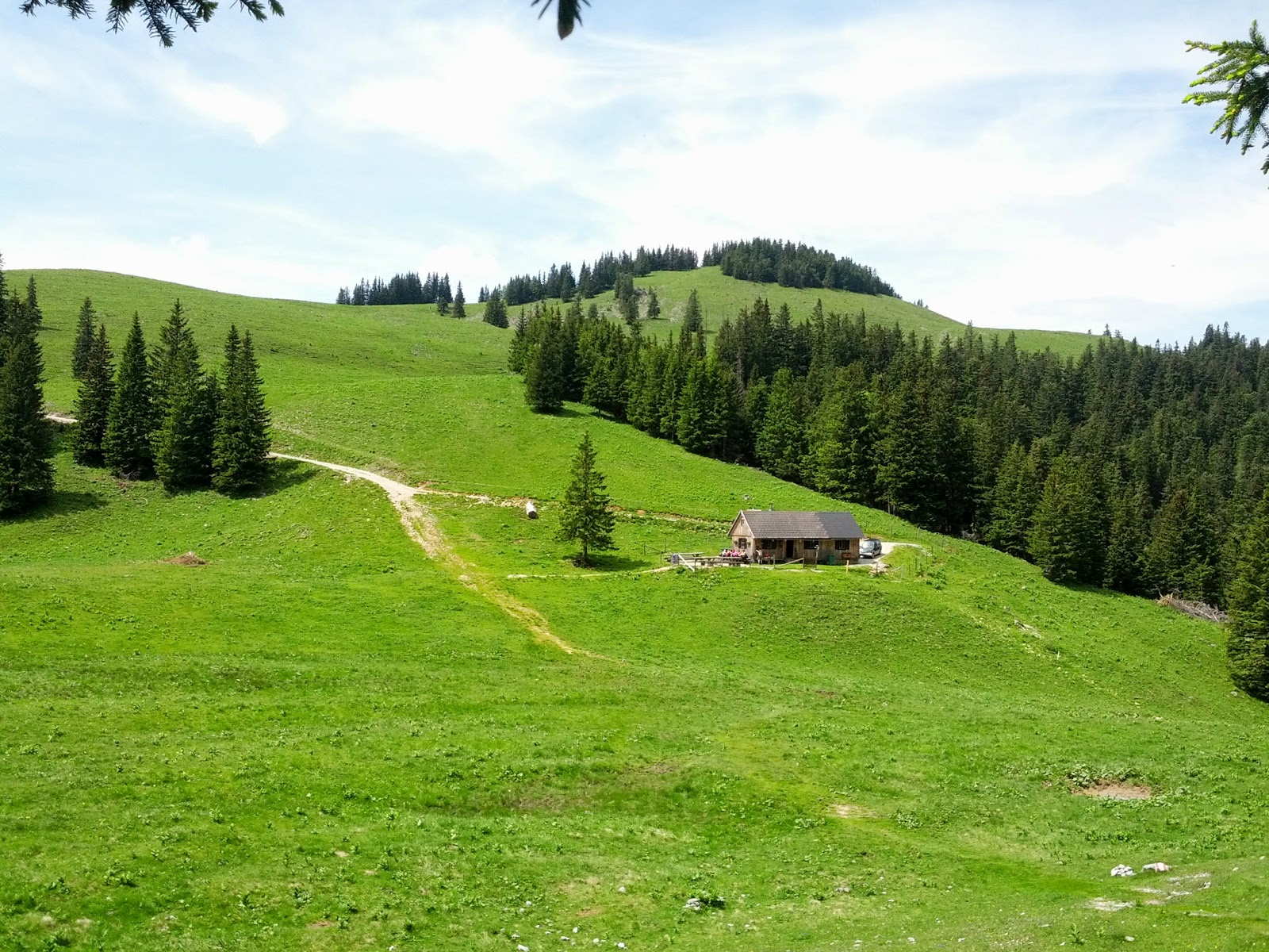 lh6.googleusercontent.com_-iub_xri51wm_ubx8w3zmbmi_aaaaaaaanus_2lv0zpzbi-i_w1600-h1200-no_img_20130615_114548.jpg lh6.googleusercontent.com_-iub_xri51wm_ubx8w3zmbmi_aaaaaaaanus_2lv0zpzbi-i_w1600-h1200-no_img_20130615_114548.jpg