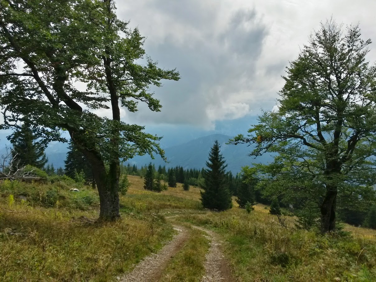 lh6.googleusercontent.com_-eudhidg9no4_vf15a4h2b_i_aaaaaaaan8g_y_rdssyixoe_w1209-h907-no_20150919_130642_richtone_2528hdr_2529.jpg lh6.googleusercontent.com_-eudhidg9no4_vf15a4h2b_i_aaaaaaaan8g_y_rdssyixoe_w1209-h907-no_20150919_130642_richtone_2528hdr_2529.jpg